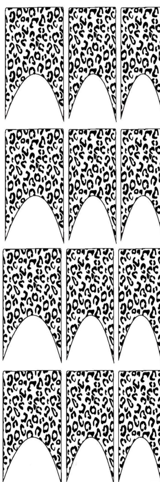 Nail Decals, Leopard Print Nail Art, Waterslide Decals, Beauty Basics